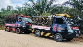 Tips angkut sampah rumah Bengkulu